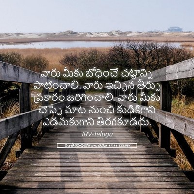 Picture 05 - ద్వితీయోపదేశ కాండము 17:11 TELIRV - వారు మీకు బోధించే - Bible Verse Picture