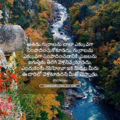 Picture 05 - ద్వితీయోపదేశ కాండము 17:16 TELIRV - అతడు గుర్రాలను - Bible Verse Picture