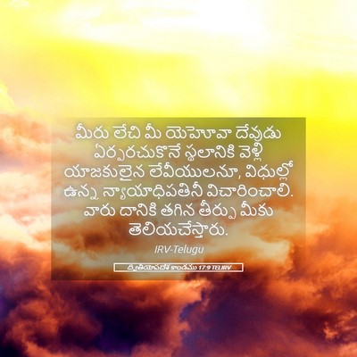 Picture 05 - ద్వితీయోపదేశ కాండము 17:9 TELIRV - మీరు లేచి మీ - Bible Verse Picture