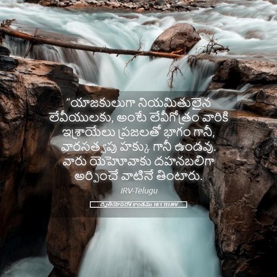 Picture 05 - ద్వితీయోపదేశ కాండము 18:1 TELIRV - “యాజకులుగా - Bible Verse Picture