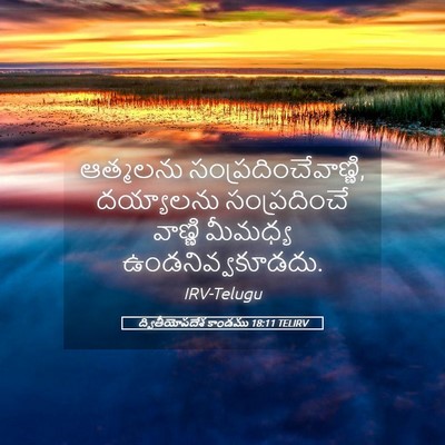 Picture 05 - ద్వితీయోపదేశ కాండము 18:11 TELIRV - ఆత్మలను - Bible Verse Picture