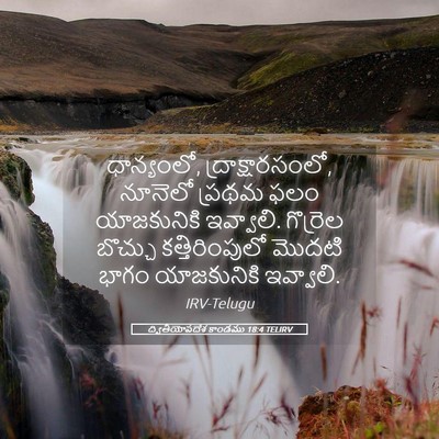 Picture 05 - ద్వితీయోపదేశ కాండము 18:4 TELIRV - ధాన్యంలో, - Bible Verse Picture