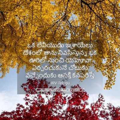 Picture 05 - ద్వితీయోపదేశ కాండము 18:6 TELIRV - ఒక లేవీయుడు - Bible Verse Picture