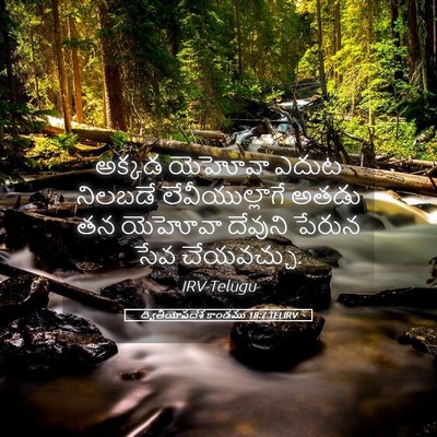 Picture 05 - ద్వితీయోపదేశ కాండము 18:7 TELIRV - అక్కడ యెహోవా ఎదుట - Bible Verse Picture