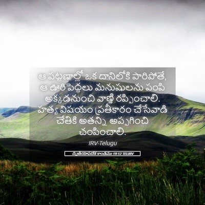 Picture 05 - ద్వితీయోపదేశ కాండము 19:12 TELIRV - ఆ పట్టణాల్లో ఒక - Bible Verse Picture
