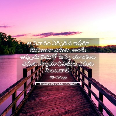 Picture 05 - ద్వితీయోపదేశ కాండము 19:17 TELIRV - ఆ వివాదం ఏర్పడిన - Bible Verse Picture
