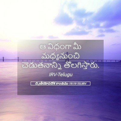 Picture 05 - ద్వితీయోపదేశ కాండము 19:19 TELIRV - ఆ విధంగా మీ - Bible Verse Picture