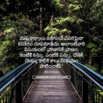 Picture 05 - ద్వితీయోపదేశ కాండము 19:21 TELIRV - దుష్ట కార్యాలు - Bible Verse Picture