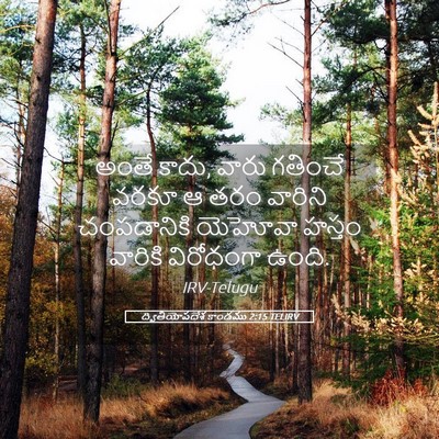 Picture 05 - ద్వితీయోపదేశ కాండము 2:15 TELIRV - అంతే కాదు, వారు - Bible Verse Picture