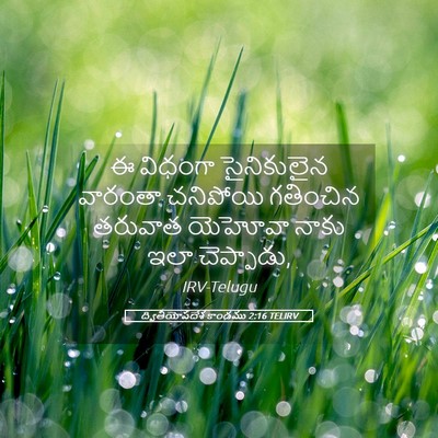 Picture 05 - ద్వితీయోపదేశ కాండము 2:16 TELIRV - ఈ విధంగా - Bible Verse Picture