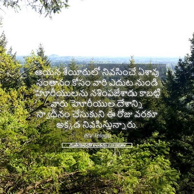 Picture 05 - ద్వితీయోపదేశ కాండము 2:22 TELIRV - ఆయన శేయీరులో - Bible Verse Picture