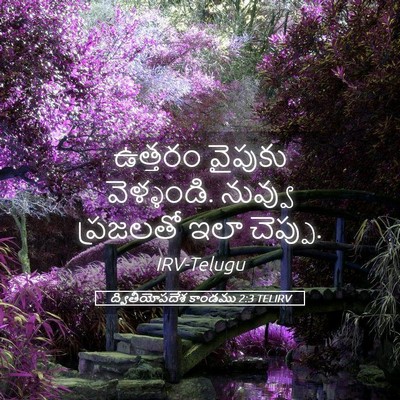 Picture 05 - ద్వితీయోపదేశ కాండము 2:3 TELIRV - ఉత్తరం వైపుకు - Bible Verse Picture