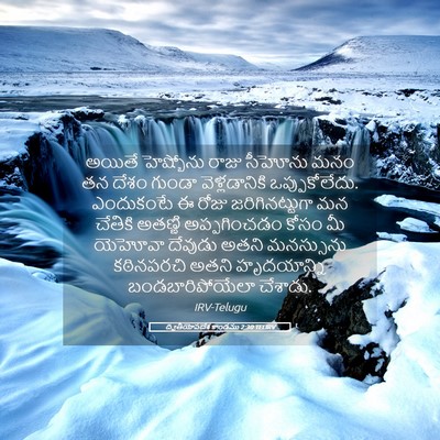 Picture 05 - ద్వితీయోపదేశ కాండము 2:30 TELIRV - అయితే హెష్బోను - Bible Verse Picture