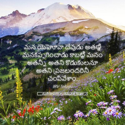 Picture 05 - ద్వితీయోపదేశ కాండము 2:33 TELIRV - మన యెహోవా దేవుడు - Bible Verse Picture
