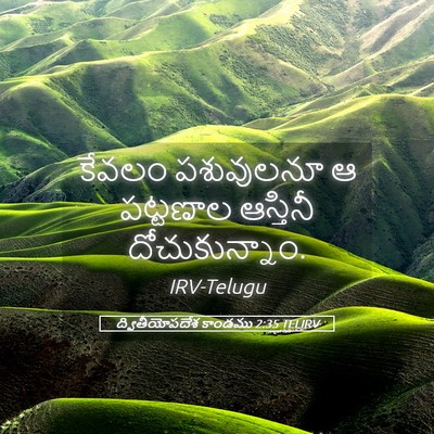 Picture 05 - ద్వితీయోపదేశ కాండము 2:35 TELIRV - కేవలం పశువులనూ ఆ - Bible Verse Picture