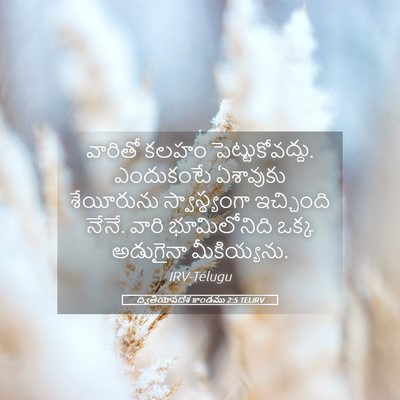 Picture 05 - ద్వితీయోపదేశ కాండము 2:5 TELIRV - వారితో కలహం - Bible Verse Picture