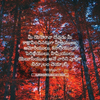 Picture 05 - ద్వితీయోపదేశ కాండము 20:17 TELIRV - మీ యెహోవా దేవుడు - Bible Verse Picture