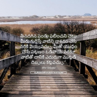 Picture 05 - ద్వితీయోపదేశ కాండము 20:20 TELIRV - తినదగిన పండ్లు - Bible Verse Picture