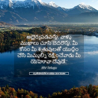 Picture 05 - ద్వితీయోపదేశ కాండము 20:4 TELIRV - అధైర్యపడవద్దు. - Bible Verse Picture