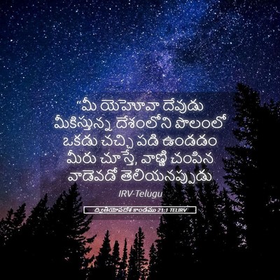 Picture 05 - ద్వితీయోపదేశ కాండము 21:1 TELIRV - “మీ యెహోవా దేవుడు - Bible Verse Picture