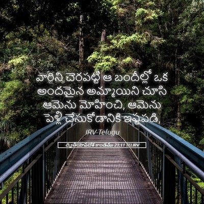 Picture 05 - ద్వితీయోపదేశ కాండము 21:11 TELIRV - వారిని చెరపట్టి ఆ - Bible Verse Picture