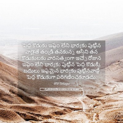 Picture 05 - ద్వితీయోపదేశ కాండము 21:16 TELIRV - పెద్ద కొడుకు - Bible Verse Picture