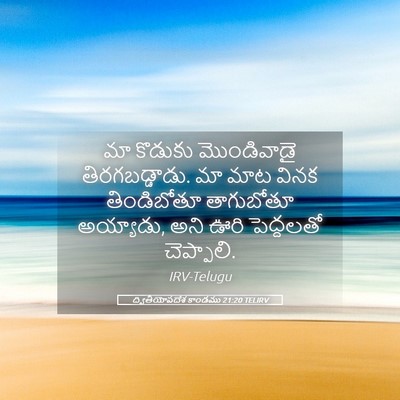 Picture 05 - ద్వితీయోపదేశ కాండము 21:20 TELIRV - మా కొడుకు - Bible Verse Picture
