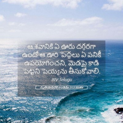 Picture 05 - ద్వితీయోపదేశ కాండము 21:3 TELIRV - ఆ శవానికి ఏ ఊరు - Bible Verse Picture