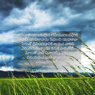 Picture 05 - ద్వితీయోపదేశ కాండము 21:5 TELIRV - తరువాత యాజకులైన - Bible Verse Picture