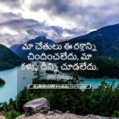 Picture 05 - ద్వితీయోపదేశ కాండము 21:7 TELIRV - మా చేతులు ఈ - Bible Verse Picture