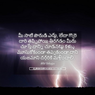 Picture 05 - ద్వితీయోపదేశ కాండము 22:1 TELIRV - మీ సాటి పౌరుడి - Bible Verse Picture