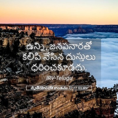 Picture 05 - ద్వితీయోపదేశ కాండము 22:11 TELIRV - ఉన్ని, జనపనారతో - Bible Verse Picture