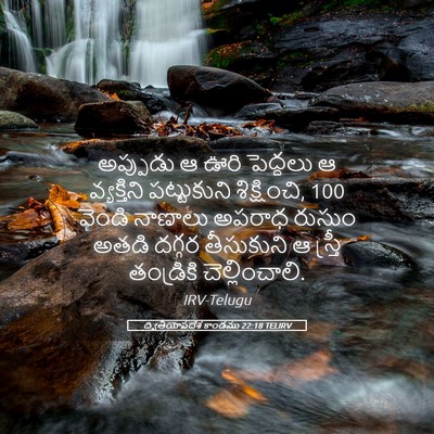 Picture 05 - ద్వితీయోపదేశ కాండము 22:18 TELIRV - అప్పుడు ఆ ఊరి - Bible Verse Picture