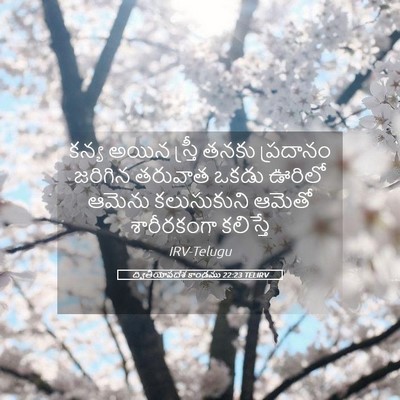 Picture 05 - ద్వితీయోపదేశ కాండము 22:23 TELIRV - కన్య అయిన స్త్రీ - Bible Verse Picture