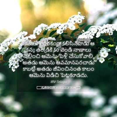 Picture 05 - ద్వితీయోపదేశ కాండము 22:29 TELIRV - ఆమెతో శారీరకంగా - Bible Verse Picture