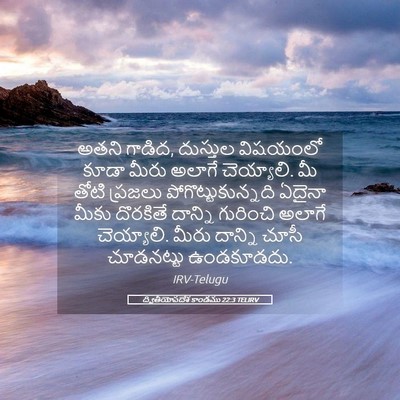 Picture 05 - ద్వితీయోపదేశ కాండము 22:3 TELIRV - అతని గాడిద, - Bible Verse Picture