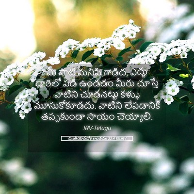 Picture 05 - ద్వితీయోపదేశ కాండము 22:4 TELIRV - మీ సాటి మనిషి - Bible Verse Picture