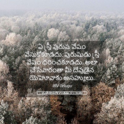 Picture 05 - ద్వితీయోపదేశ కాండము 22:5 TELIRV - ఏ స్త్రీ పురుష - Bible Verse Picture