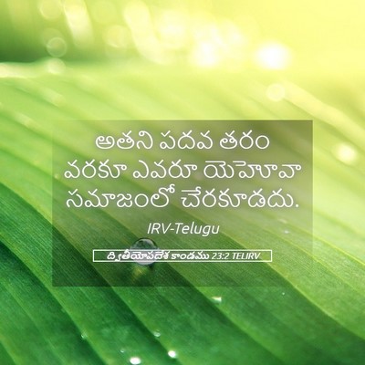 Picture 05 - ద్వితీయోపదేశ కాండము 23:2 TELIRV - అతని పదవ తరం వరకూ - Bible Verse Picture