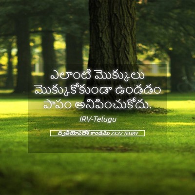 Picture 05 - ద్వితీయోపదేశ కాండము 23:22 TELIRV - ఎలాంటి మొక్కులు - Bible Verse Picture