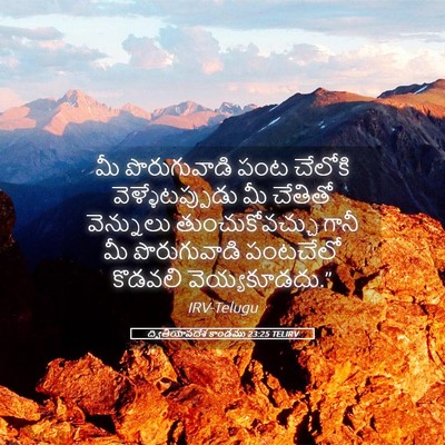 Picture 05 - ద్వితీయోపదేశ కాండము 23:25 TELIRV - మీ పొరుగువాడి పంట - Bible Verse Picture