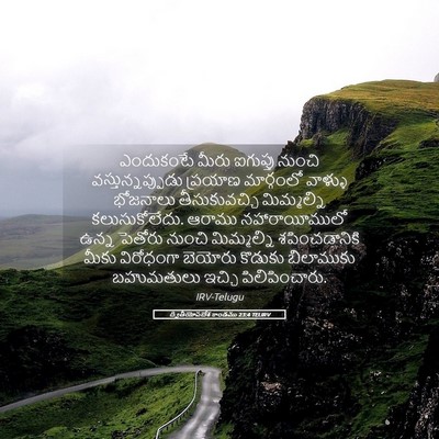 Picture 05 - ద్వితీయోపదేశ కాండము 23:4 TELIRV - ఎందుకంటే మీరు - Bible Verse Picture