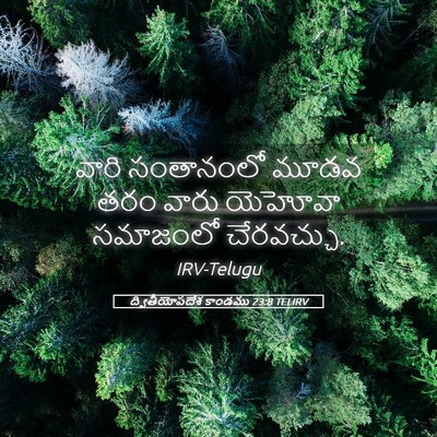 Picture 05 - ద్వితీయోపదేశ కాండము 23:8 TELIRV - వారి సంతానంలో - Bible Verse Picture
