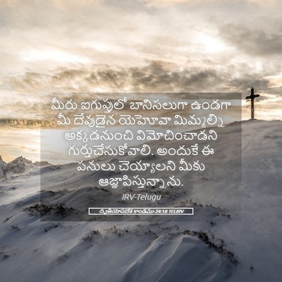 Picture 05 - ద్వితీయోపదేశ కాండము 24:18 TELIRV - మీరు ఐగుప్తులో - Bible Verse Picture