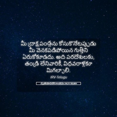 Picture 05 - ద్వితీయోపదేశ కాండము 24:21 TELIRV - మీ ద్రాక్షపండ్లను - Bible Verse Picture