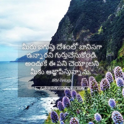 Picture 05 - ద్వితీయోపదేశ కాండము 24:22 TELIRV - మీరు ఐగుప్తు - Bible Verse Picture