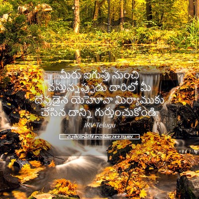 Picture 05 - ద్వితీయోపదేశ కాండము 24:9 TELIRV - మీరు ఐగుప్తు - Bible Verse Picture