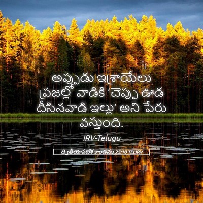 Picture 05 - ద్వితీయోపదేశ కాండము 25:10 TELIRV - అప్పుడు ఇశ్రాయేలు - Bible Verse Picture