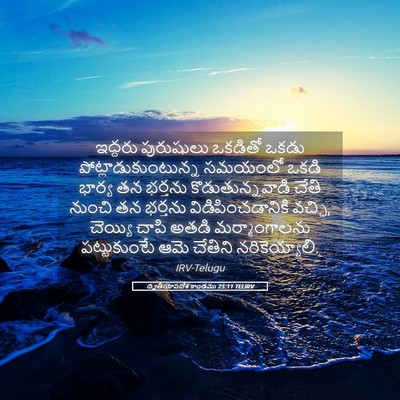 Picture 05 - ద్వితీయోపదేశ కాండము 25:11 TELIRV - ఇద్దరు పురుషులు - Bible Verse Picture
