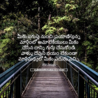 Picture 05 - ద్వితీయోపదేశ కాండము 25:17 TELIRV - మీరు ఐగుప్తు - Bible Verse Picture